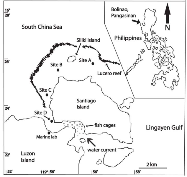 文件:Gezhi-contest-figures-2009-comap-C-bolinao-map.png