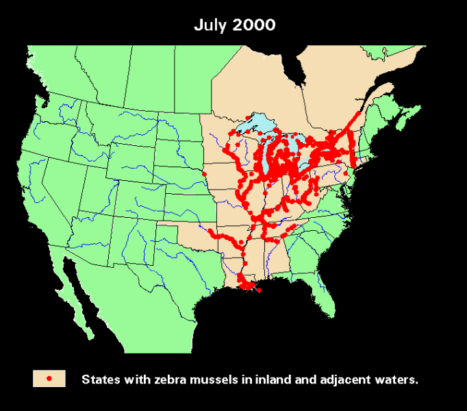 文件:Gezhi-contest-figures-2001-comap-C-zebra-mussel-distribution.png